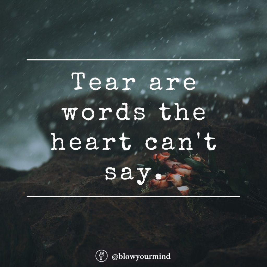 Tears are words the heart can't say...