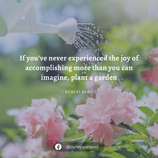 If you’ve never experienced the joy of accomplishing more than you can imagine, plant a garden– Robert Brault