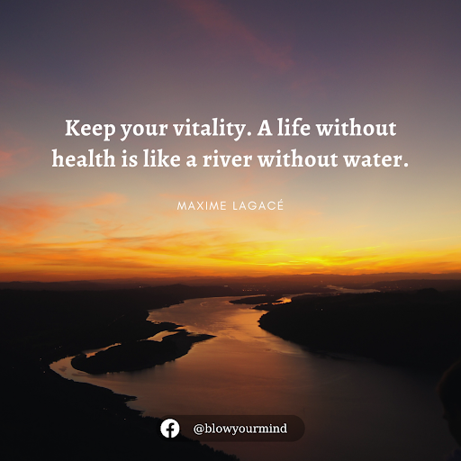 Keep your vitality. A life without health is like a river without water. - Maxime Lagacé