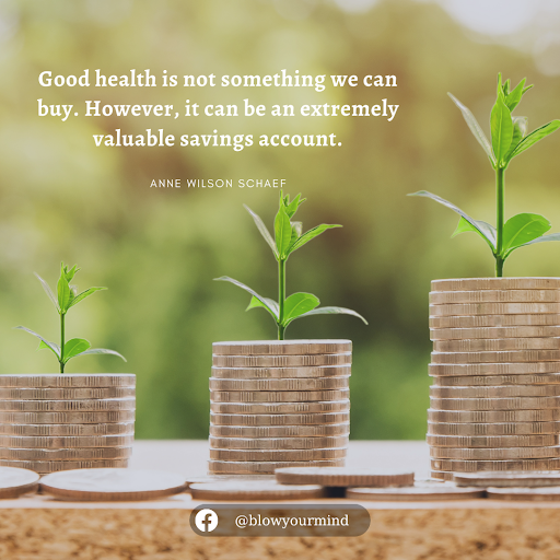 “Good health is not something we can buy. However, it can be an extremely valuable savings account.”-Anne Wilson Schaef