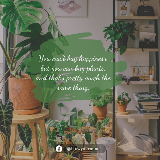 You can’t buy happiness, but you can buy plants, and that’s pretty much the same thing.