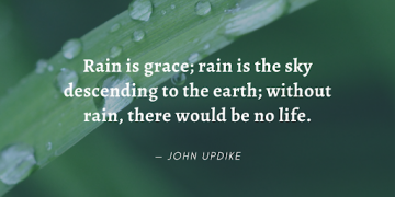 "Rain is grace; rain is the sky descending to the earth; without rain, there would be no life." - John Updike.