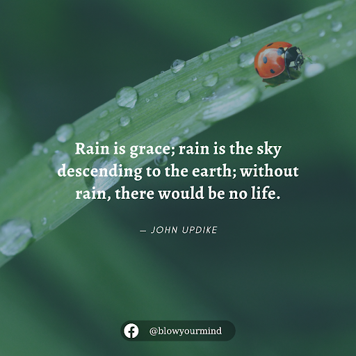 "Rain is grace; rain is the sky descending to the earth; without rain, there would be no life." - John Updike.