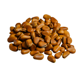 Brown Nuts