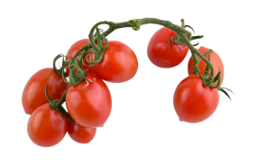 Red Cherry Tomato