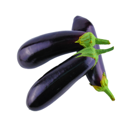 Black Vegan Brinjal