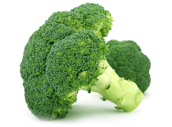 Calabres Broccoli