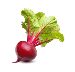 Vegan Fresh Radish