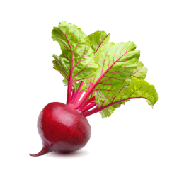 Vegan Fresh Radish