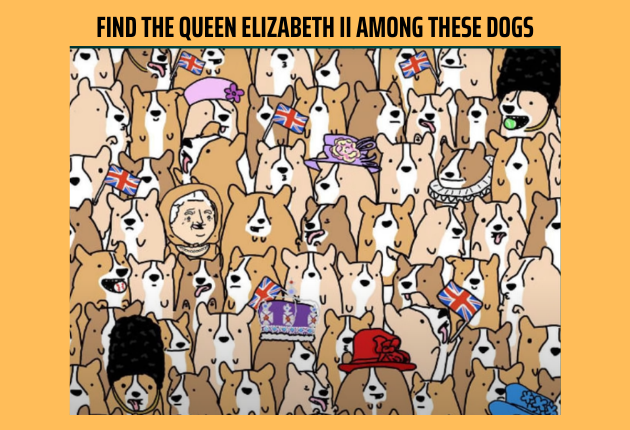 Find the queen Elizabeth II among these dogs